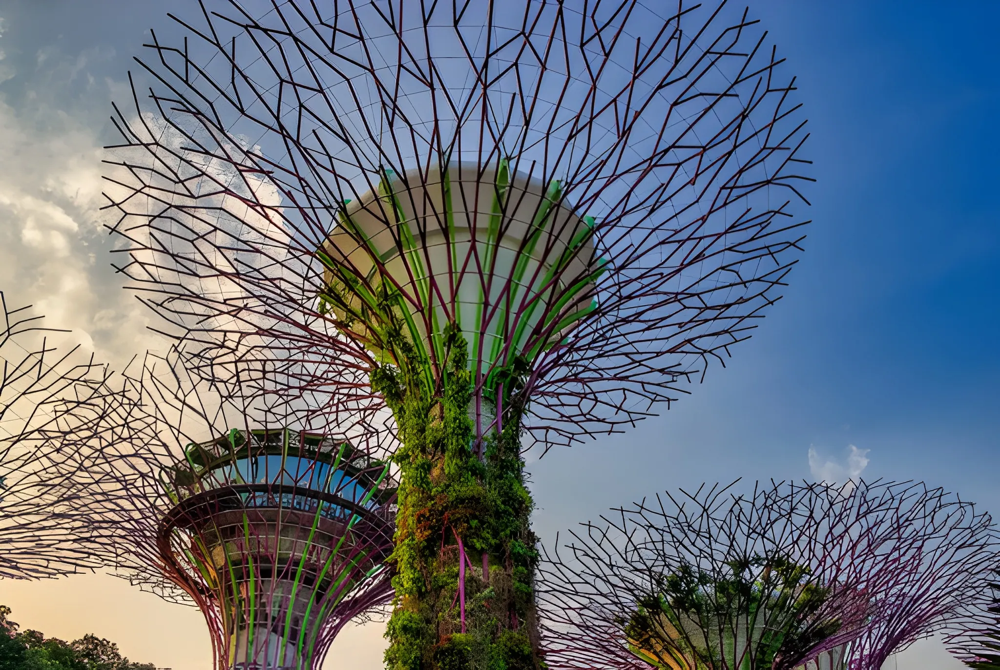 Singapore Finalix Sustainable Finance Roundtable